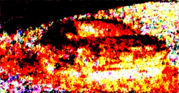 Formation mice : apprenez à créer des événements mémorables